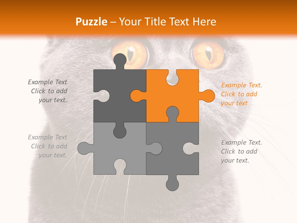 Shorthair Portrait Isolated PowerPoint Template