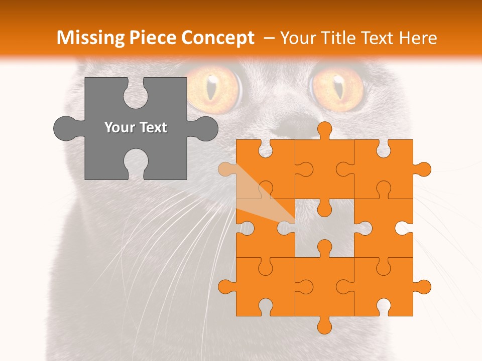 Shorthair Portrait Isolated PowerPoint Template