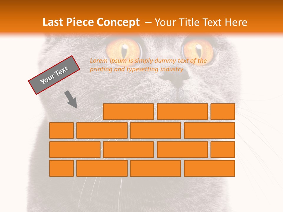 Shorthair Portrait Isolated PowerPoint Template