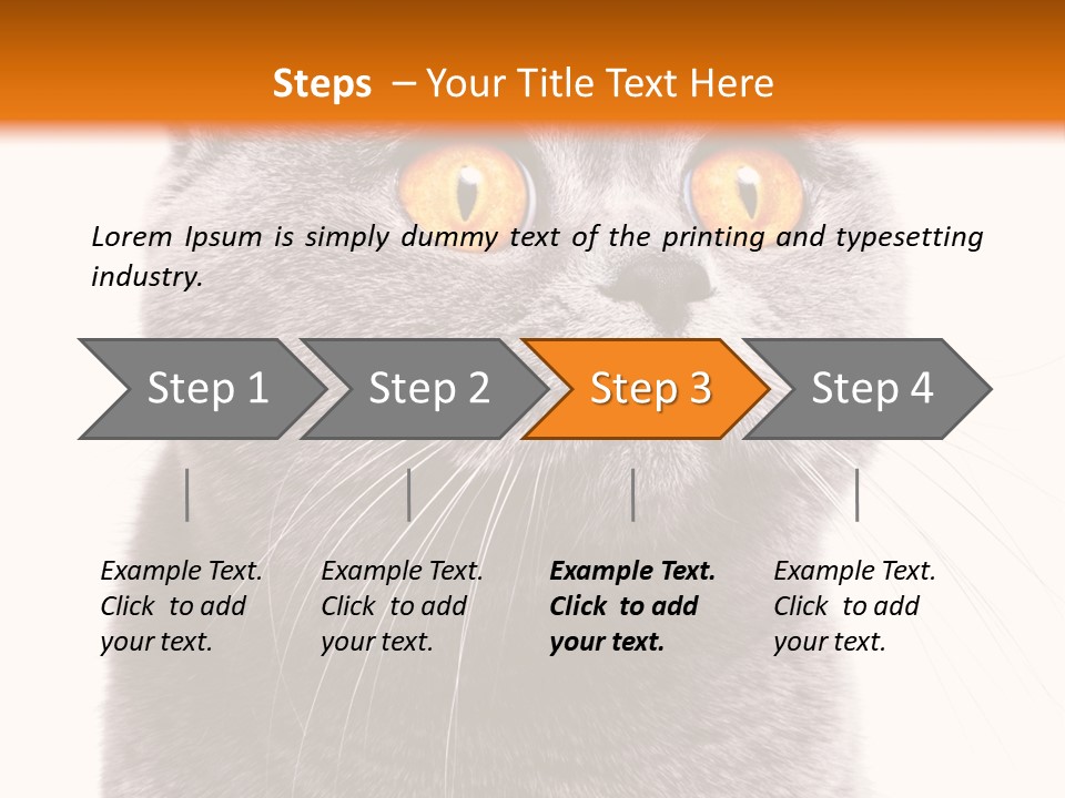 Shorthair Portrait Isolated PowerPoint Template