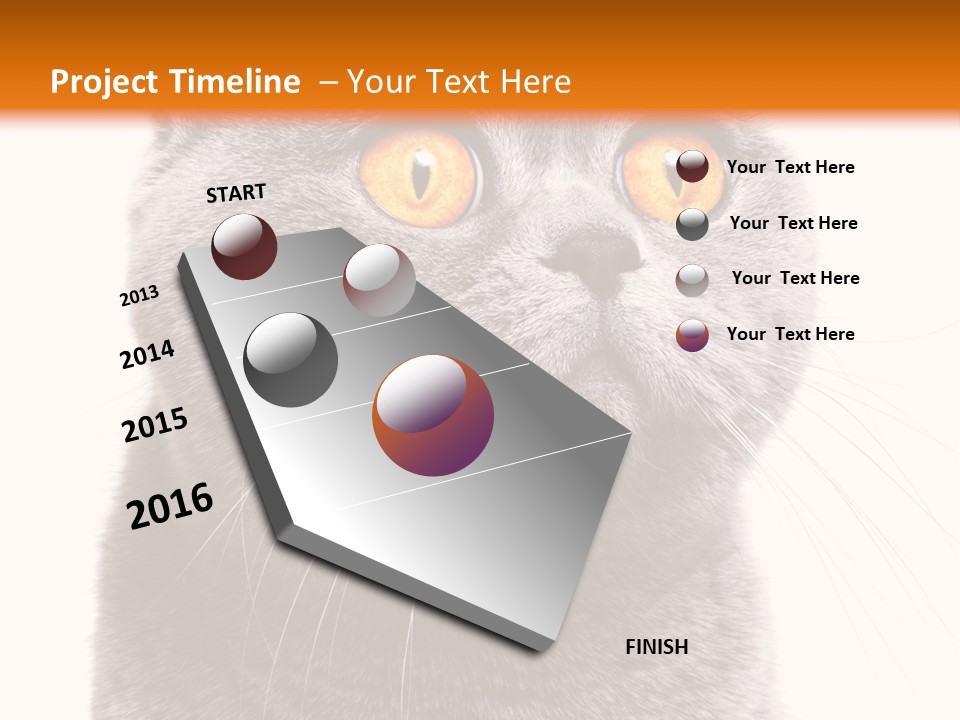 Shorthair Portrait Isolated PowerPoint Template