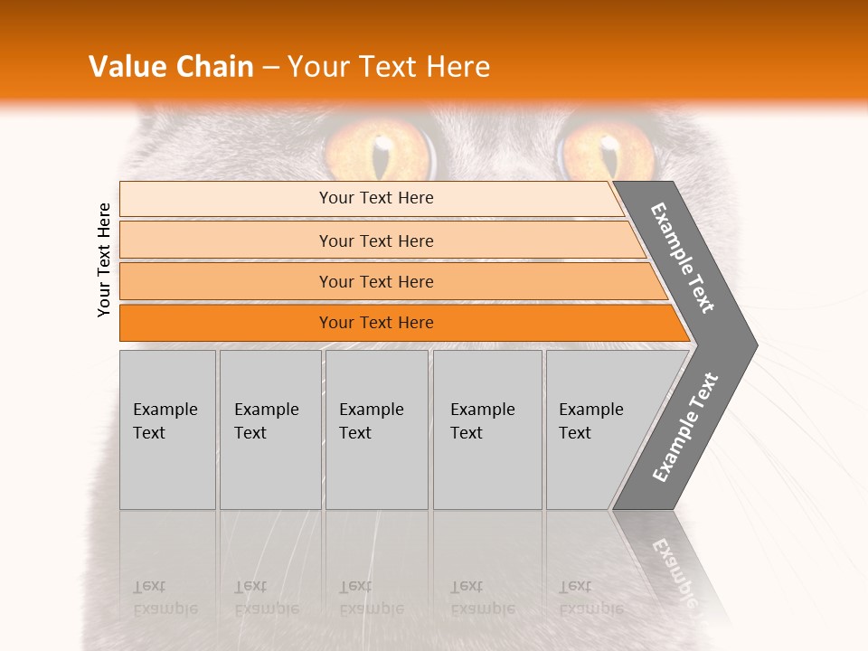 Shorthair Portrait Isolated PowerPoint Template