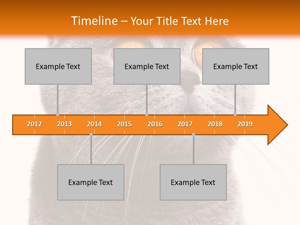 Shorthair Portrait Isolated PowerPoint Template