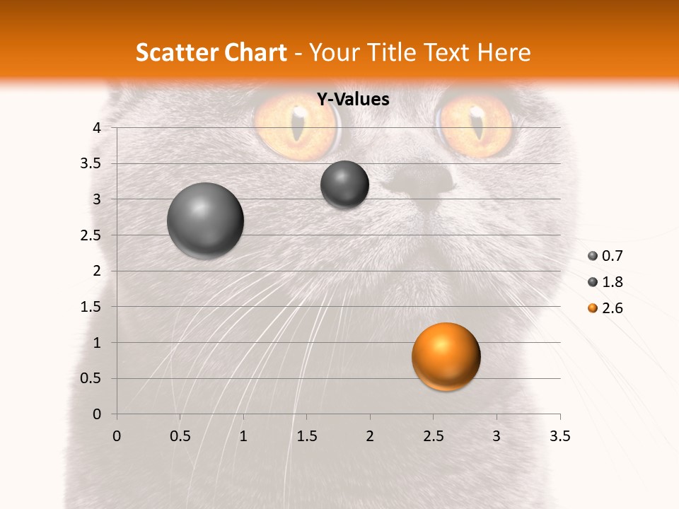 Shorthair Portrait Isolated PowerPoint Template