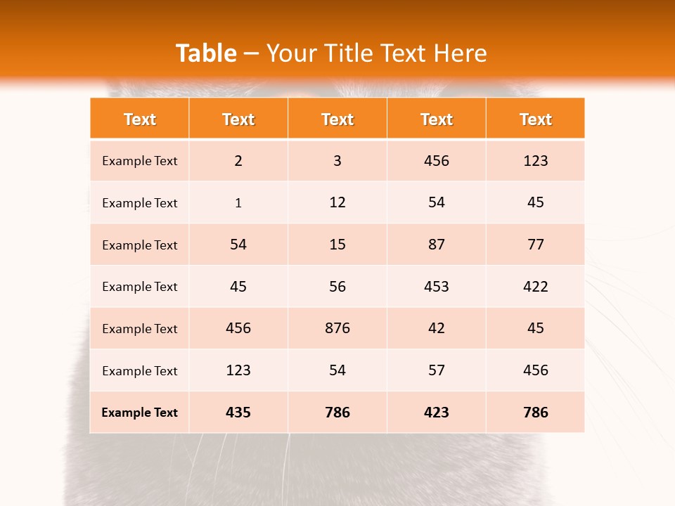 Shorthair Portrait Isolated PowerPoint Template
