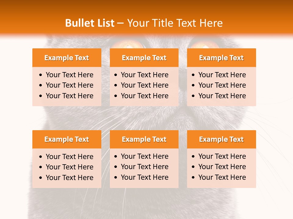 Shorthair Portrait Isolated PowerPoint Template