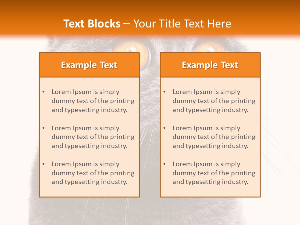 Shorthair Portrait Isolated PowerPoint Template