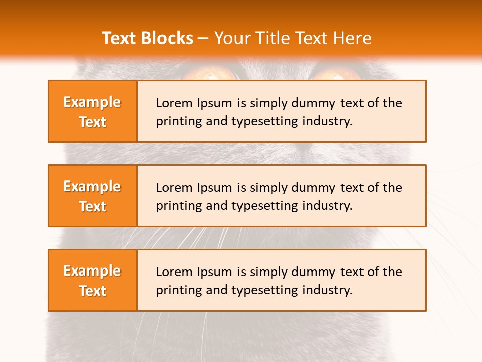 Shorthair Portrait Isolated PowerPoint Template
