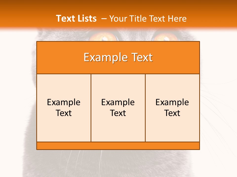 Shorthair Portrait Isolated PowerPoint Template