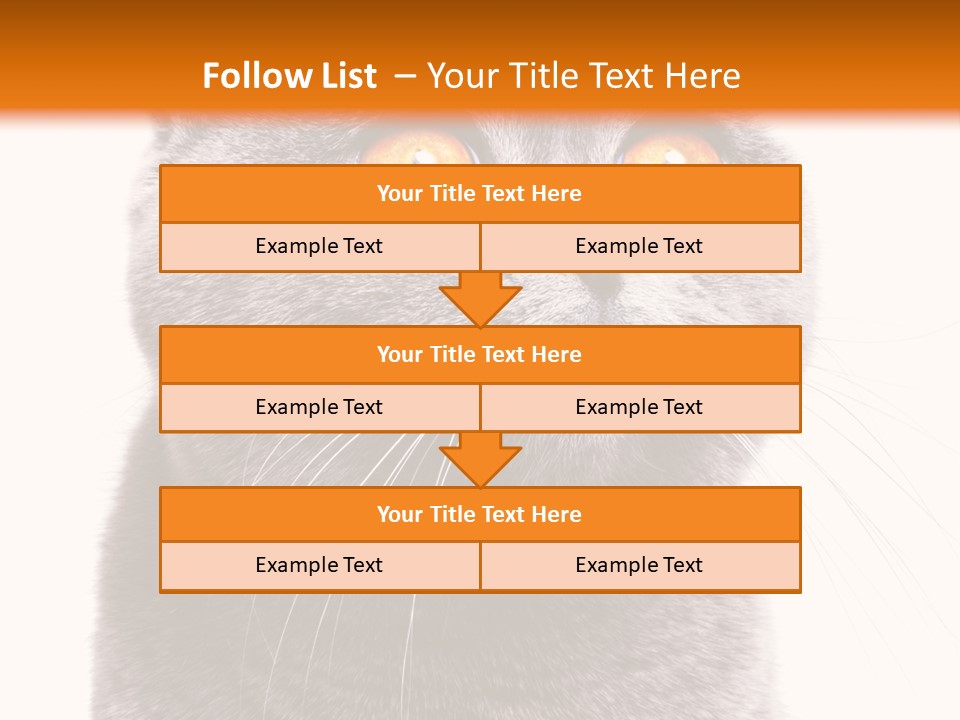 Shorthair Portrait Isolated PowerPoint Template