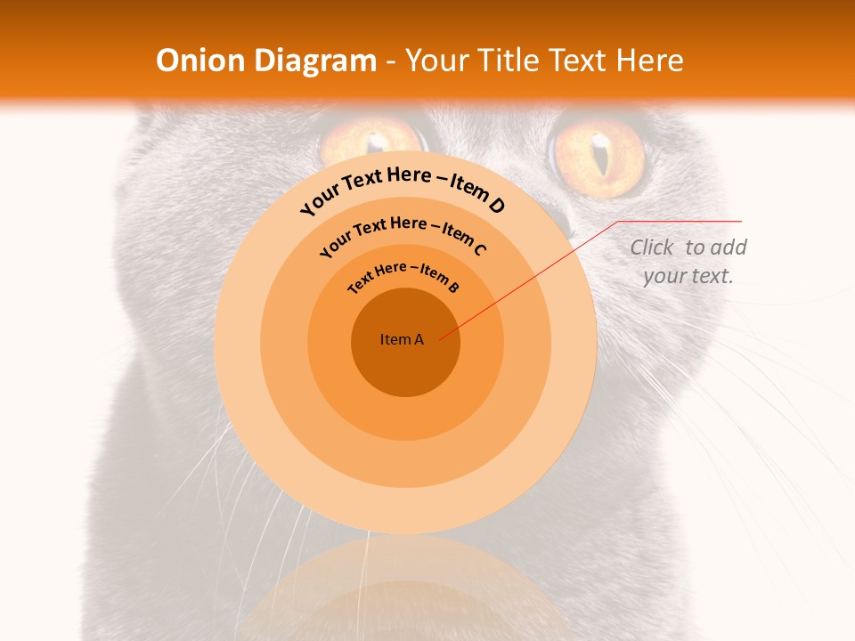 Shorthair Portrait Isolated PowerPoint Template