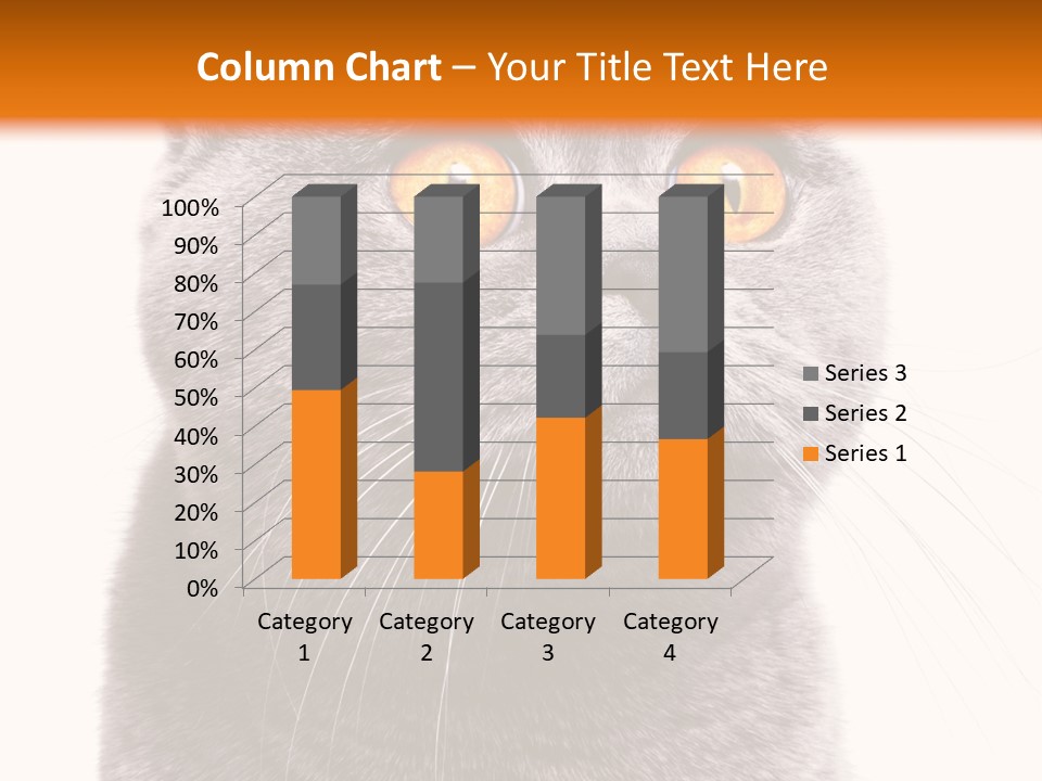 Shorthair Portrait Isolated PowerPoint Template