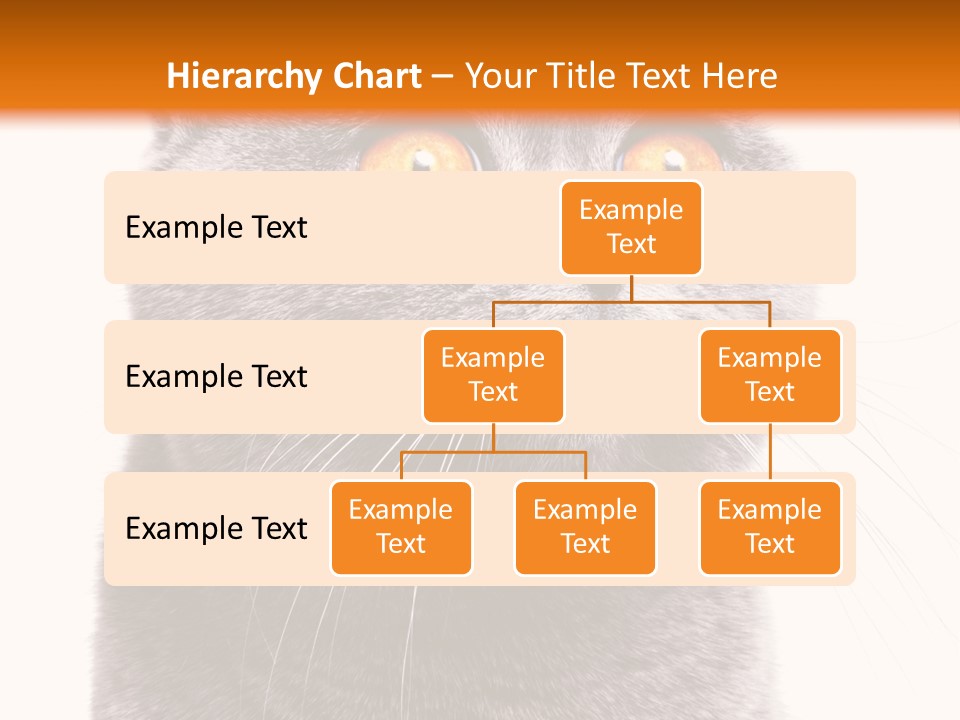 Shorthair Portrait Isolated PowerPoint Template