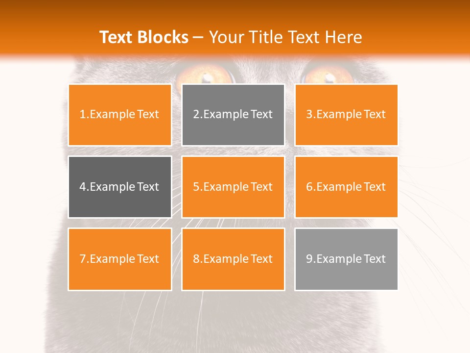 Shorthair Portrait Isolated PowerPoint Template