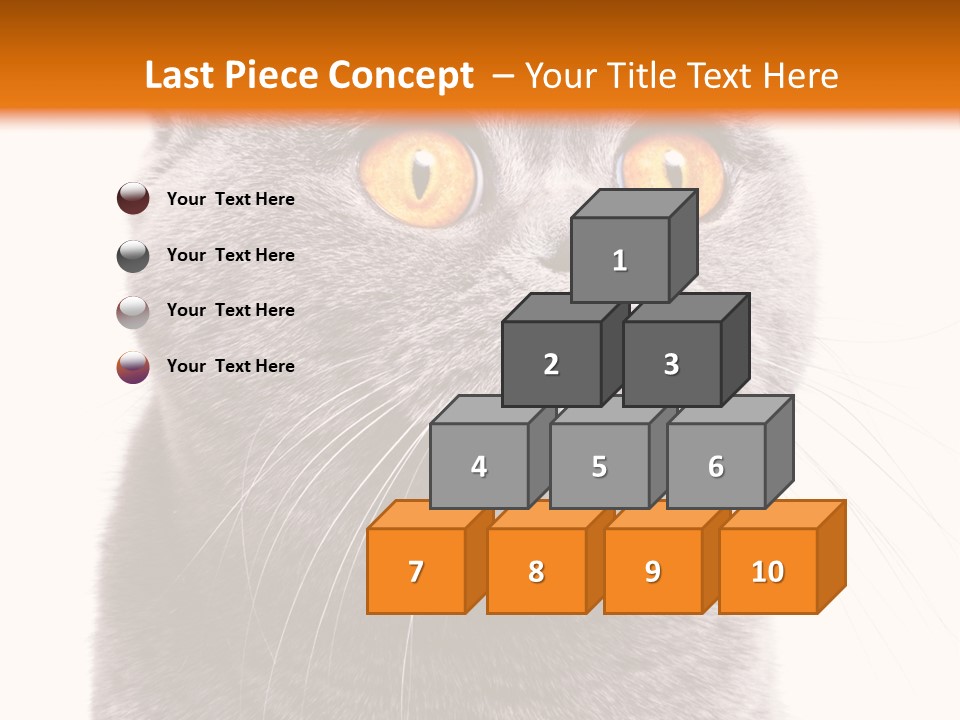 Shorthair Portrait Isolated PowerPoint Template