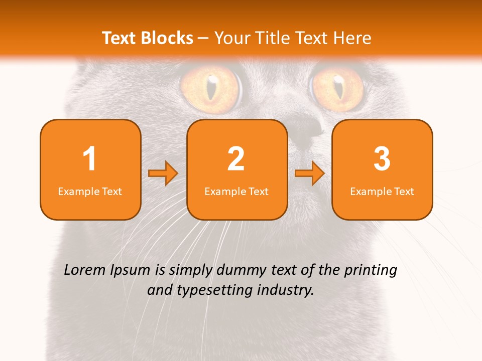 Shorthair Portrait Isolated PowerPoint Template