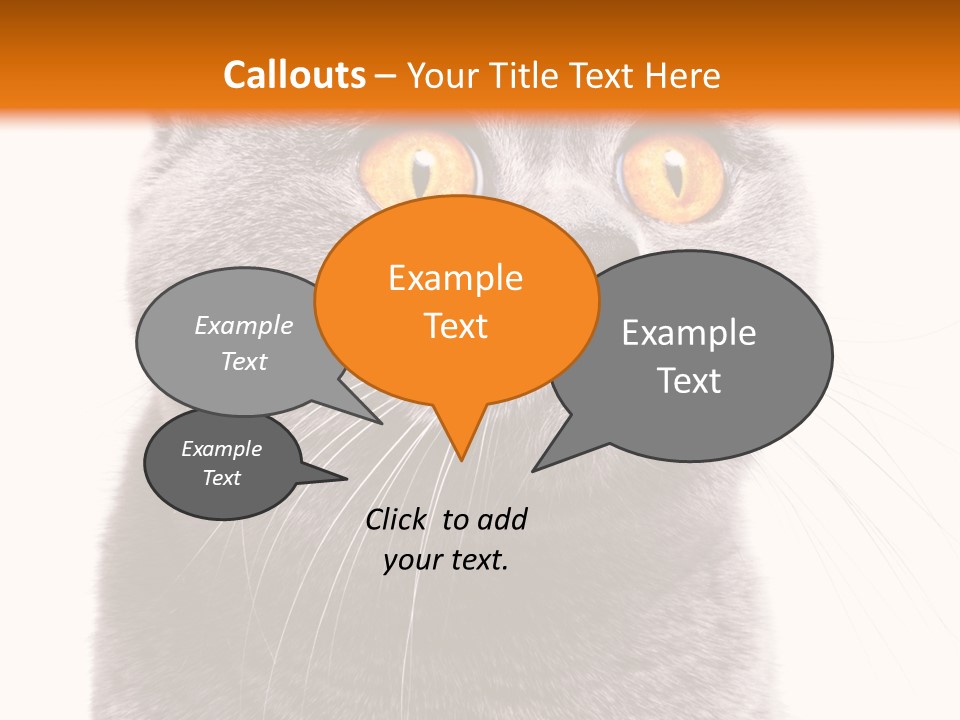 Shorthair Portrait Isolated PowerPoint Template