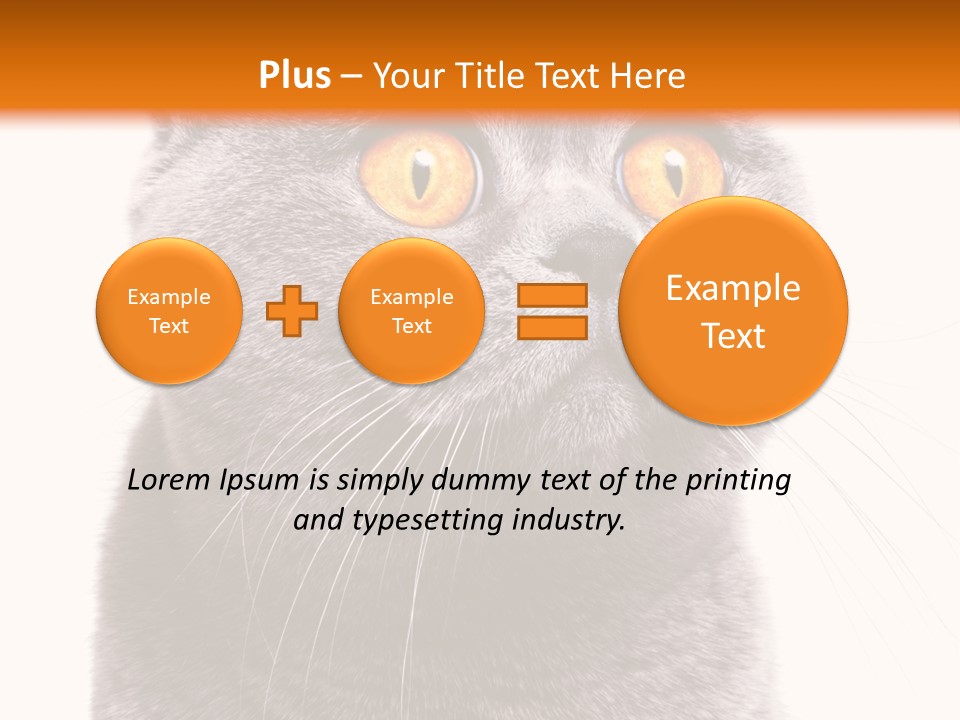 Shorthair Portrait Isolated PowerPoint Template