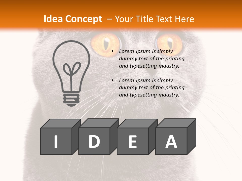 Shorthair Portrait Isolated PowerPoint Template