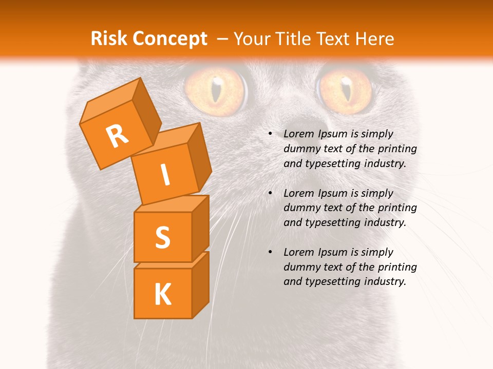 Shorthair Portrait Isolated PowerPoint Template