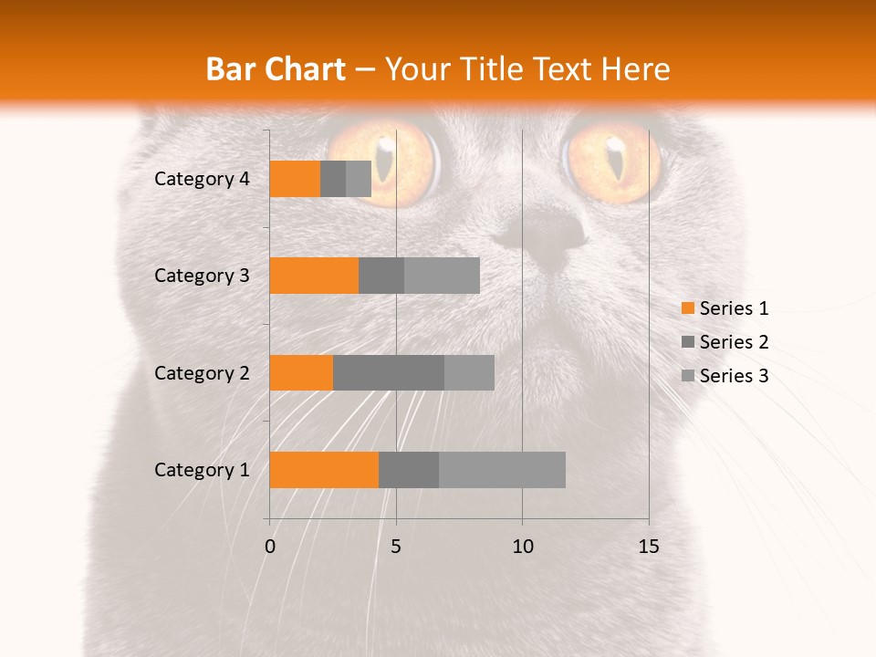 Shorthair Portrait Isolated PowerPoint Template