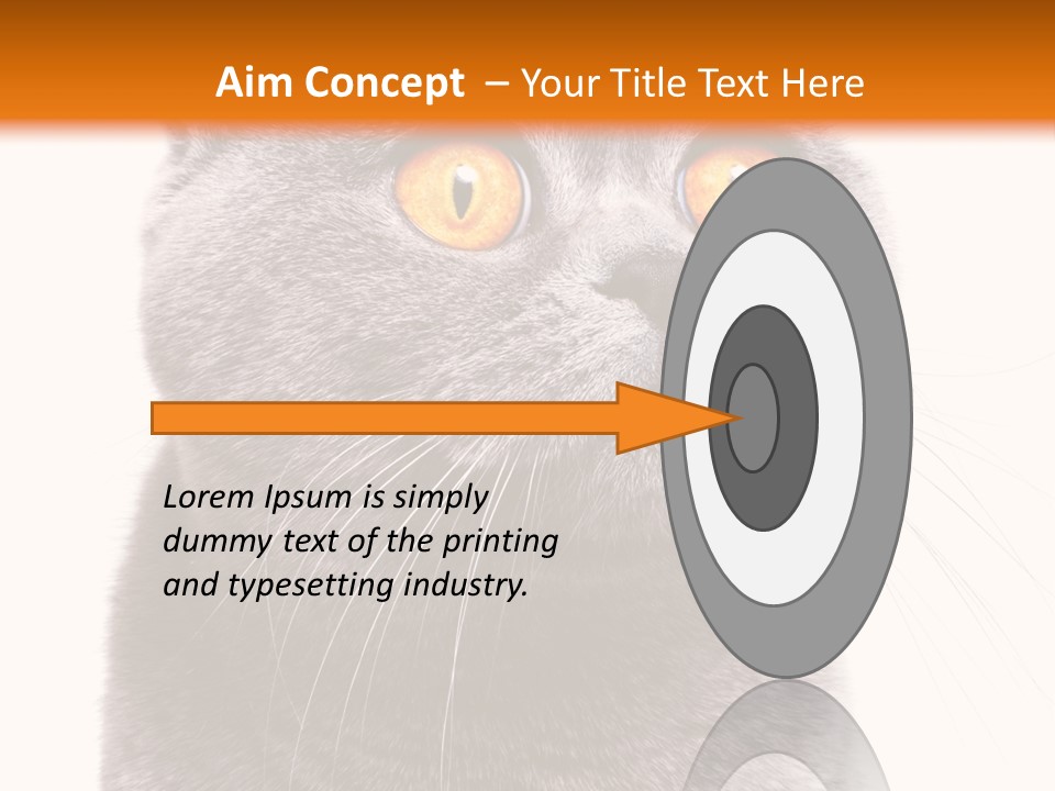 Shorthair Portrait Isolated PowerPoint Template