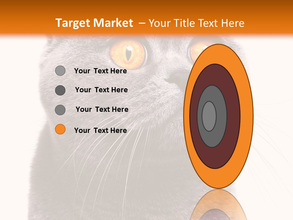 Shorthair Portrait Isolated PowerPoint Template