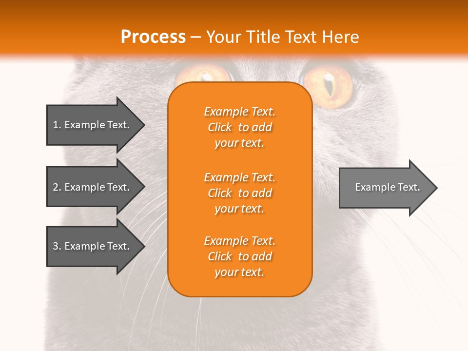 Shorthair Portrait Isolated PowerPoint Template
