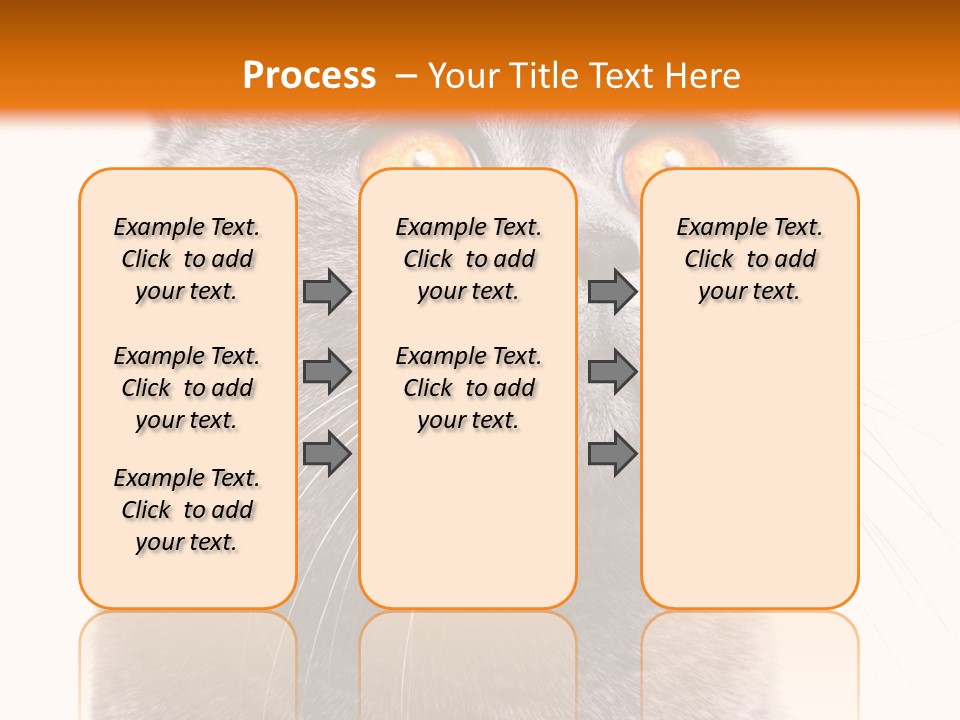 Shorthair Portrait Isolated PowerPoint Template