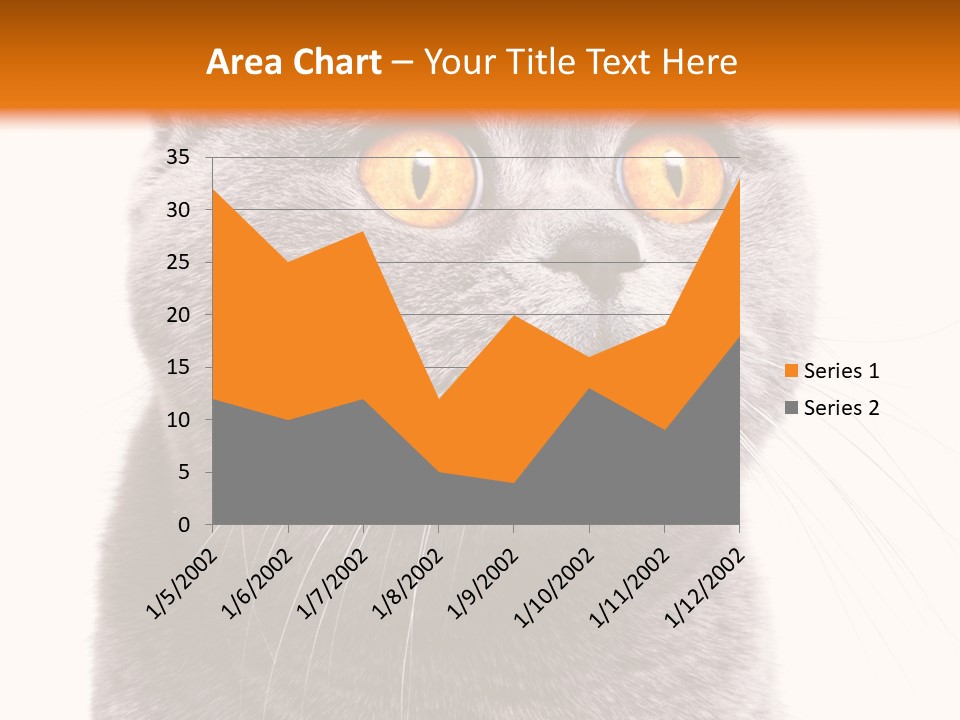 Shorthair Portrait Isolated PowerPoint Template