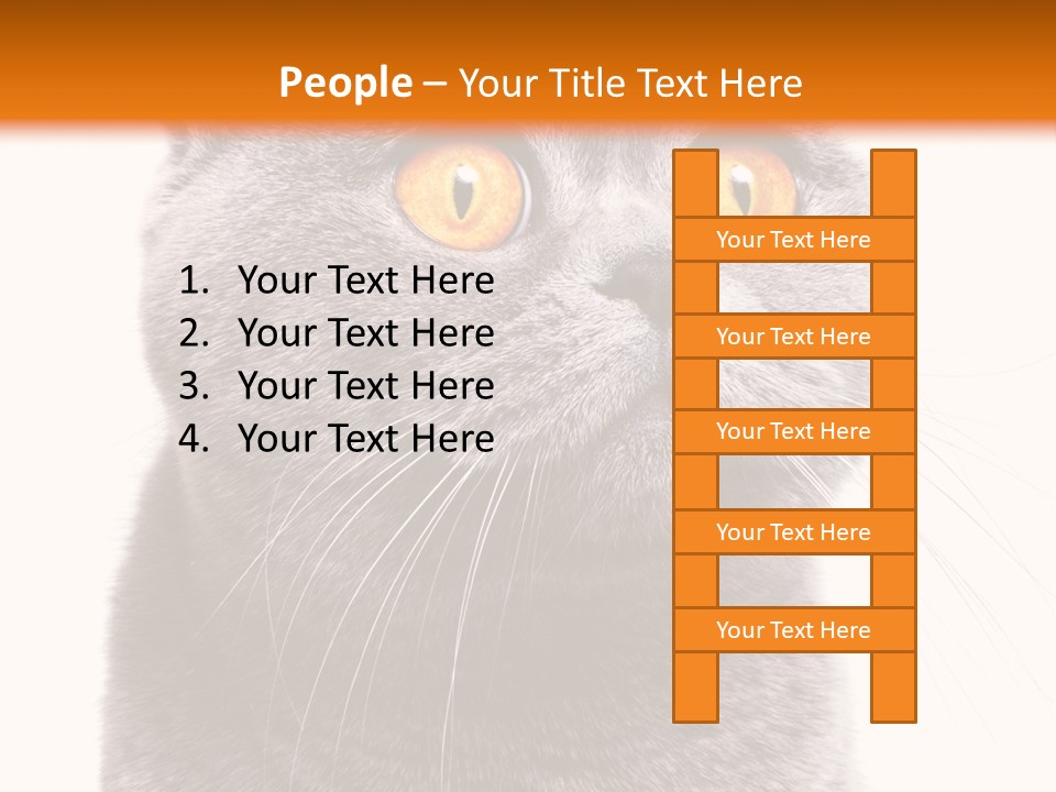 Shorthair Portrait Isolated PowerPoint Template