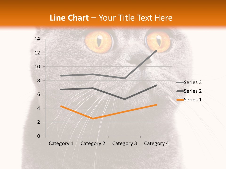 Shorthair Portrait Isolated PowerPoint Template
