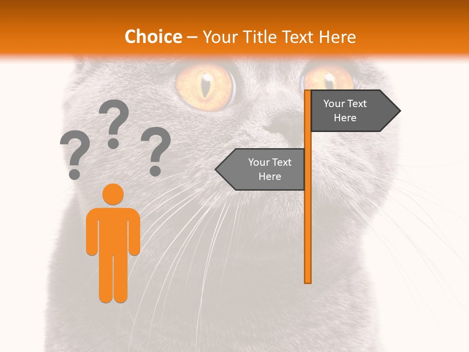 Shorthair Portrait Isolated PowerPoint Template