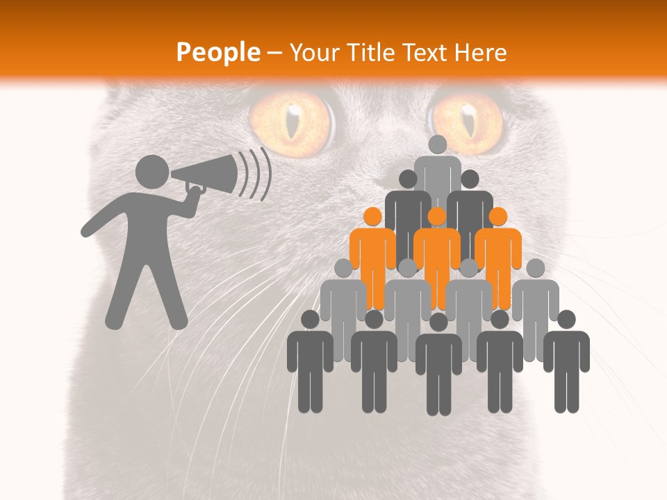 Shorthair Portrait Isolated PowerPoint Template