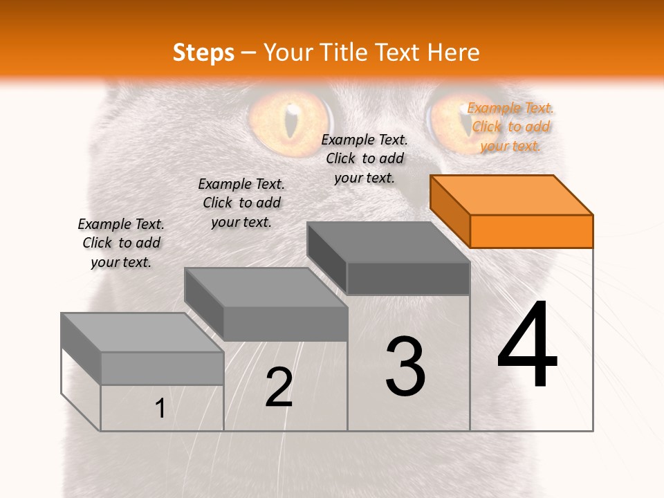 Shorthair Portrait Isolated PowerPoint Template
