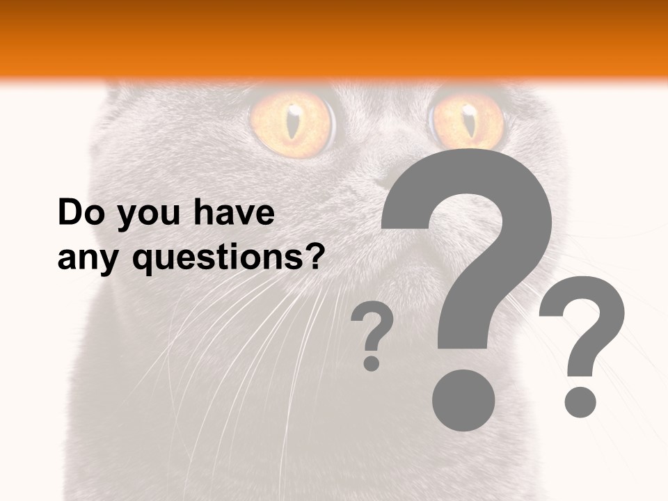 Shorthair Portrait Isolated PowerPoint Template