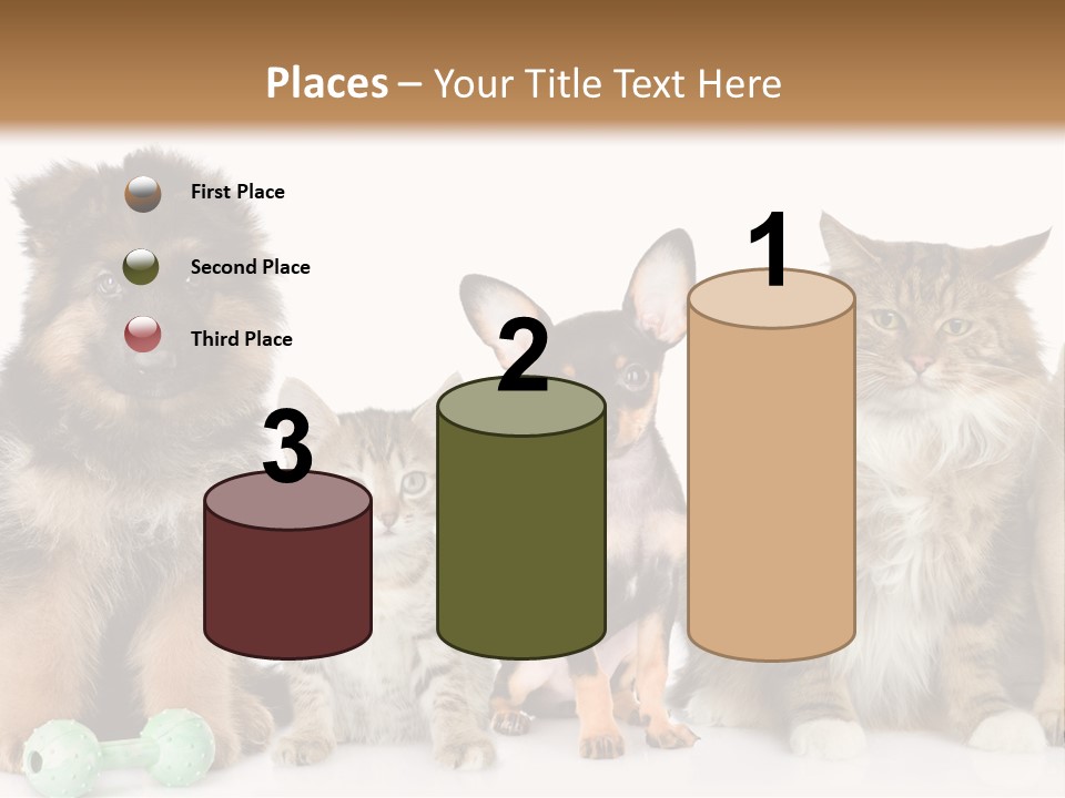 Mops Breed Dog PowerPoint Template