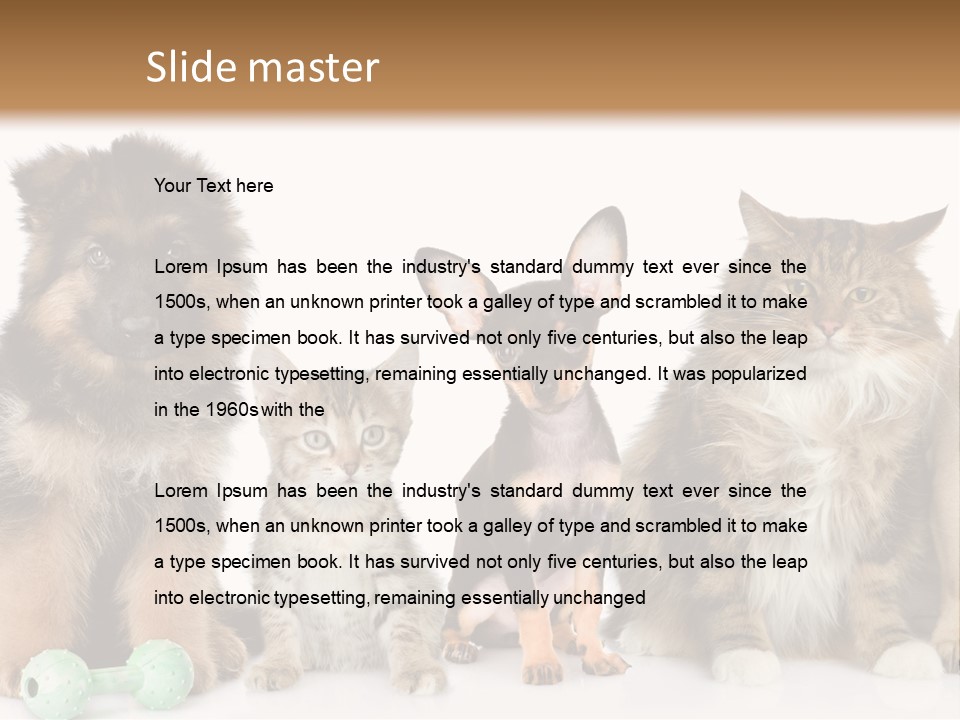 Mops Breed Dog PowerPoint Template