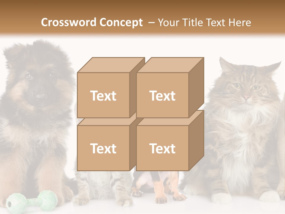 Mops Breed Dog PowerPoint Template