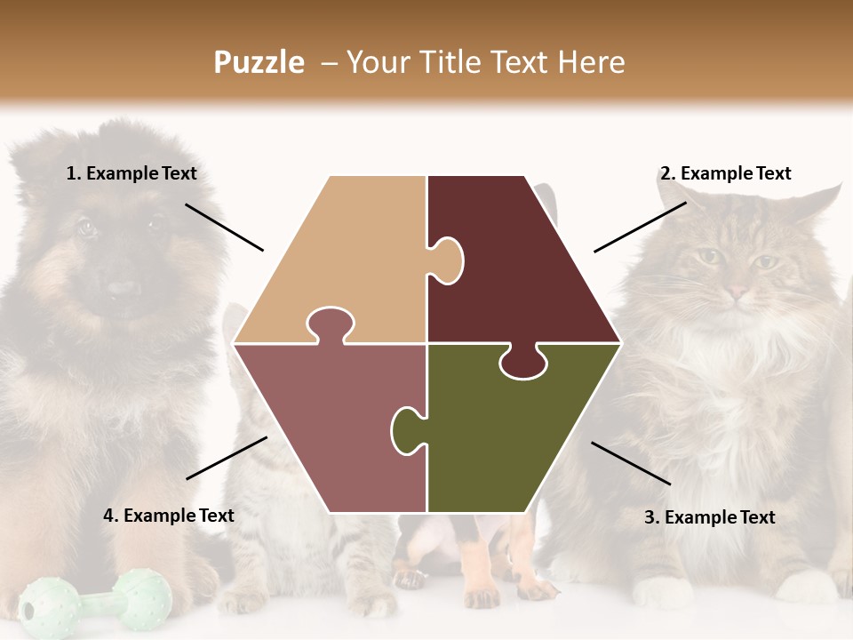 Mops Breed Dog PowerPoint Template