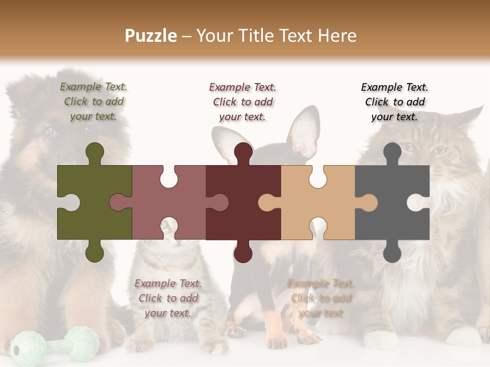 Mops Breed Dog PowerPoint Template