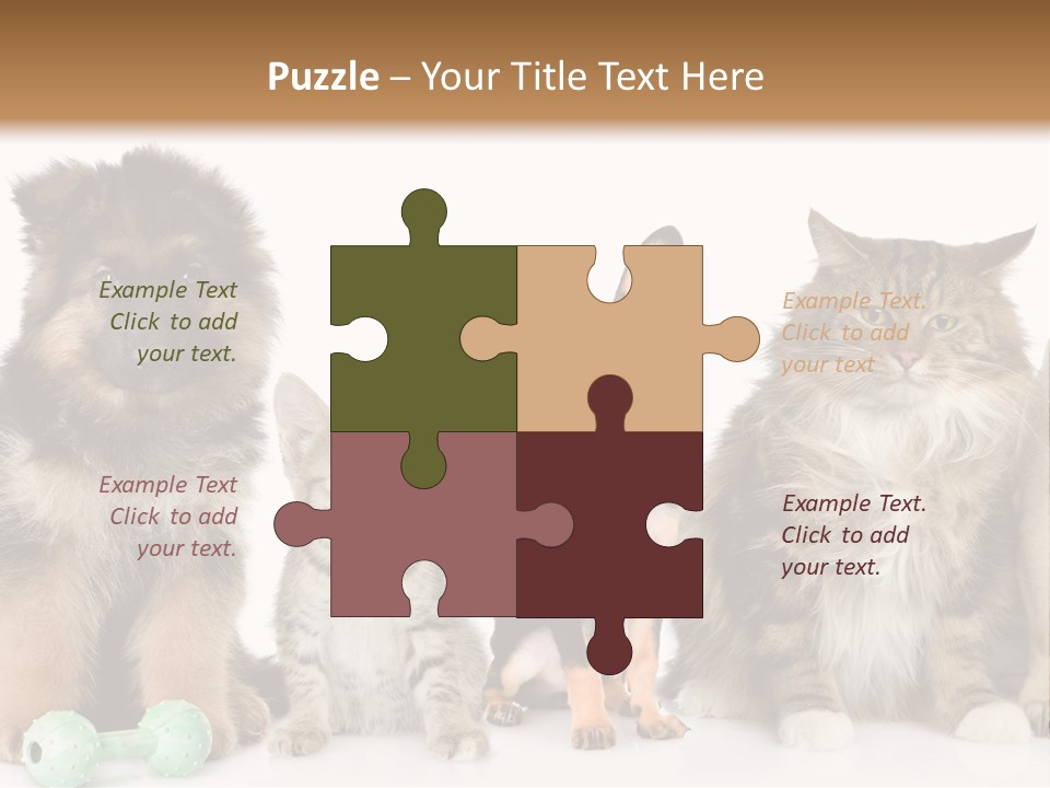 Mops Breed Dog PowerPoint Template