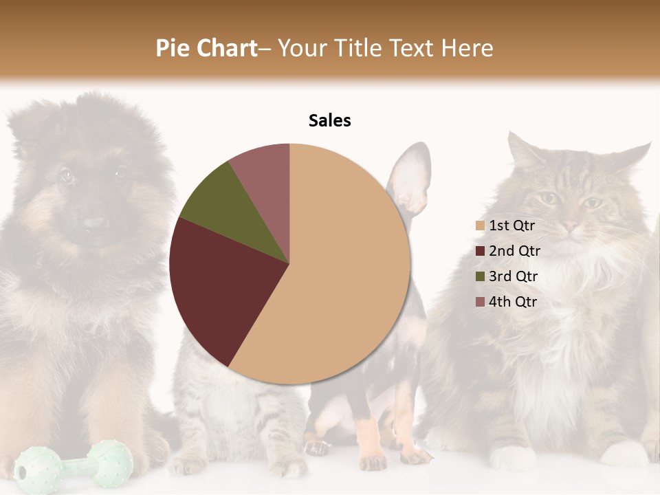 Mops Breed Dog PowerPoint Template