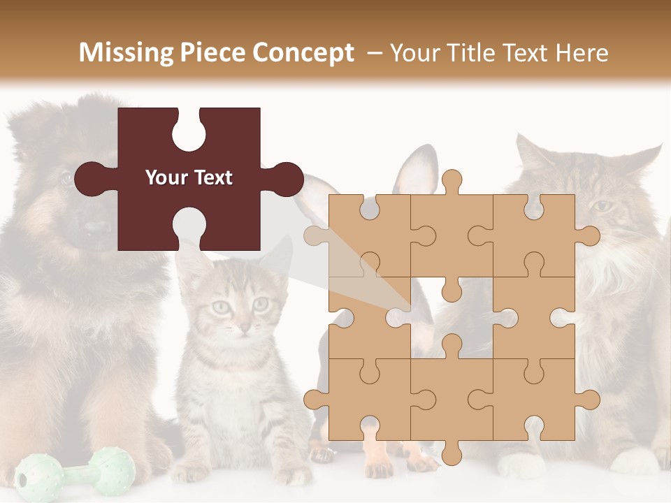 Mops Breed Dog PowerPoint Template