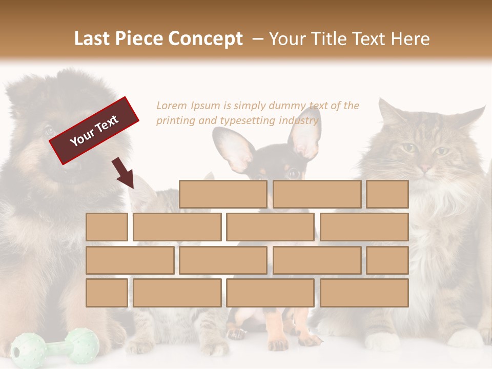 Mops Breed Dog PowerPoint Template