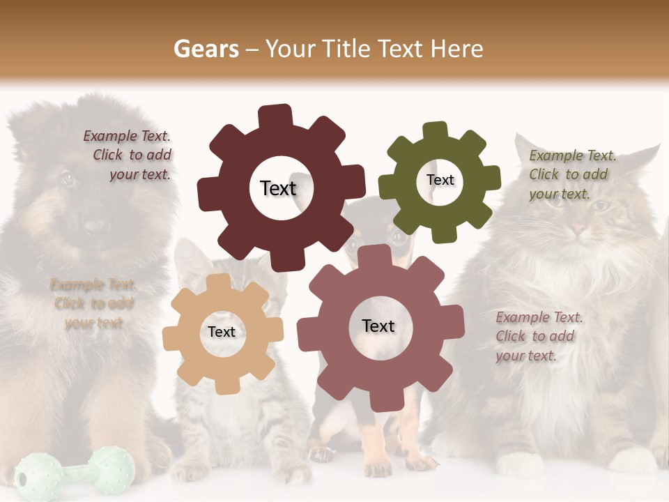 Mops Breed Dog PowerPoint Template