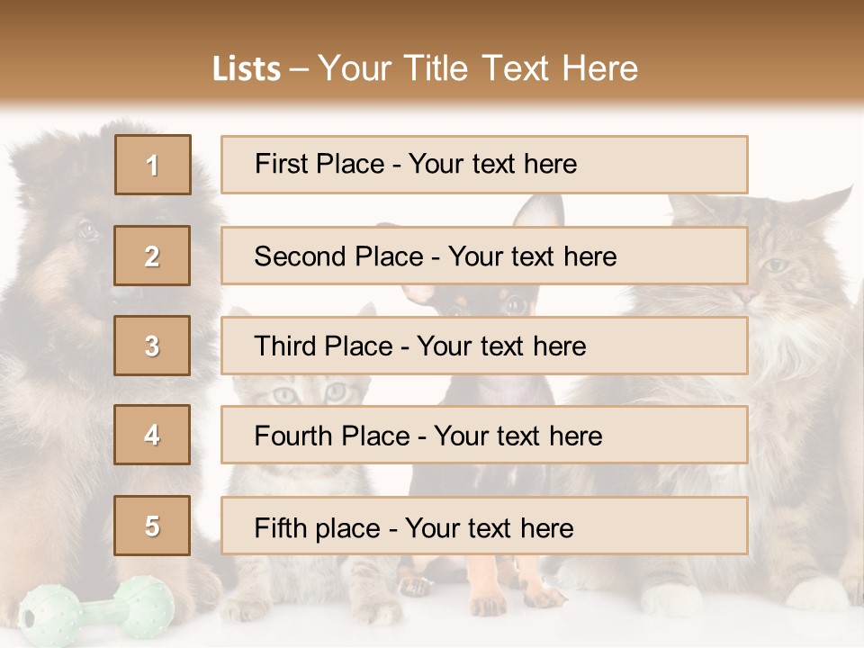 Mops Breed Dog PowerPoint Template