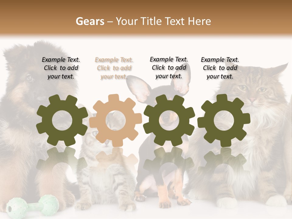 Mops Breed Dog PowerPoint Template