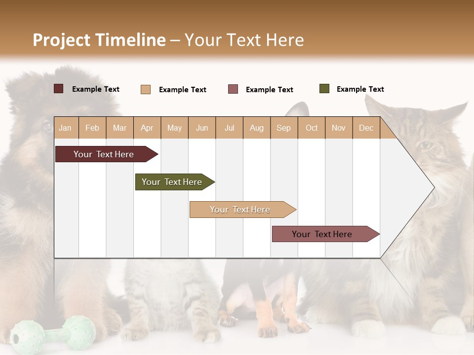 Mops Breed Dog PowerPoint Template