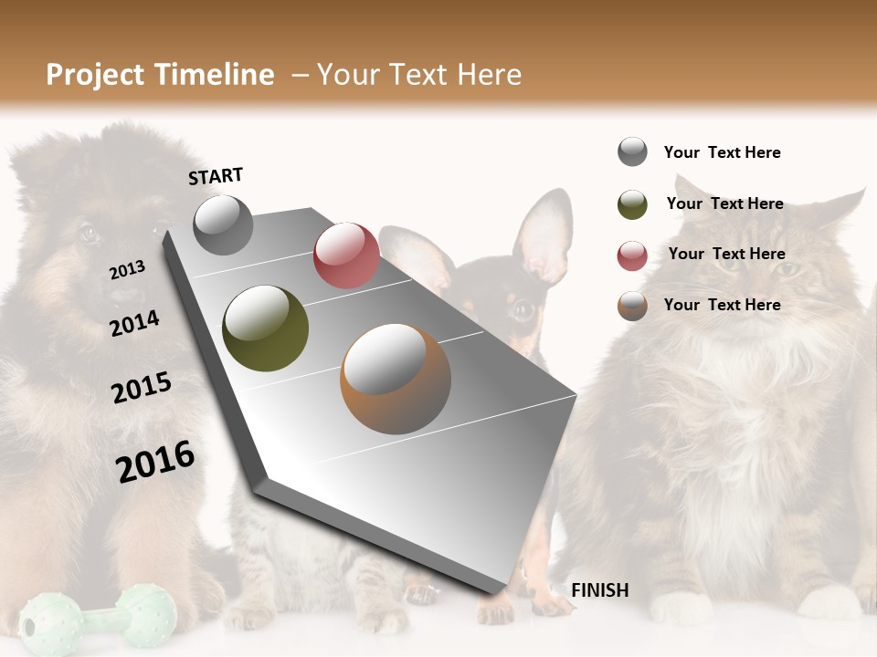 Mops Breed Dog PowerPoint Template